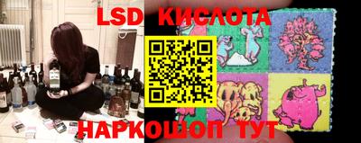 стаф Волгодонск